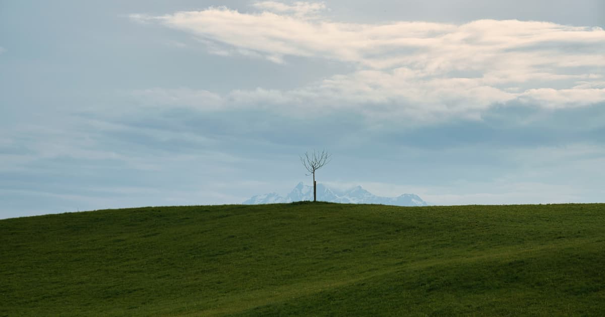 EPA Terminates $7 Billion Solar for All Program, Raising Concerns About Renewable Energy Access for Low-Income Households