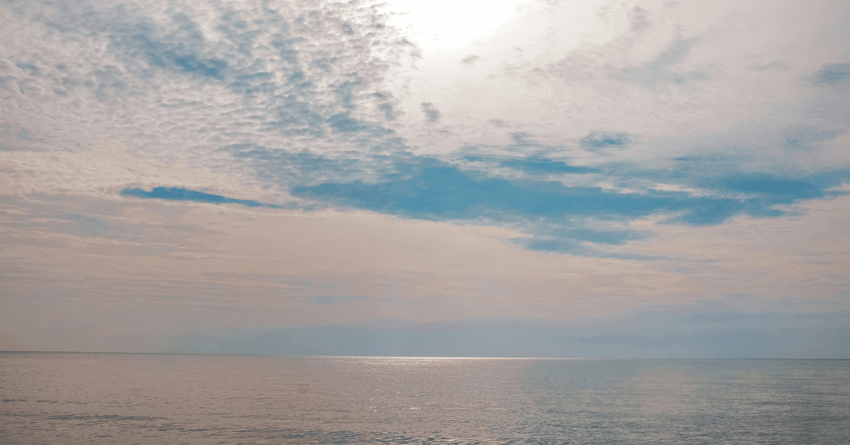 New Book Proposes Marine Protected Areas as Path to Peace in South China Sea